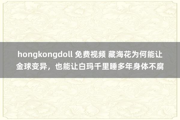 hongkongdoll 免费视频 藏海花为何能让金球变异，也能让白玛千里睡多年身体不腐