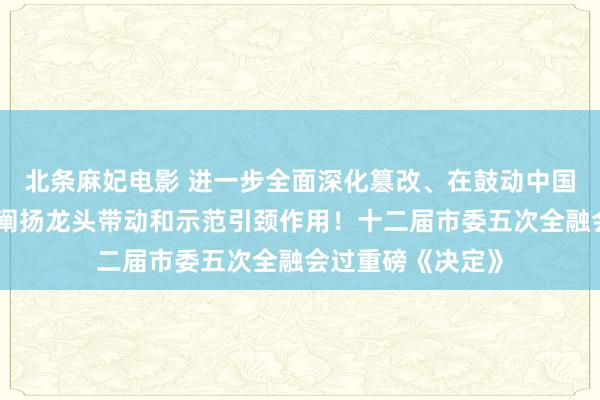 北条麻妃电影 进一步全面深化篡改、在鼓动中国式当代化中充分阐扬龙头带动和示范引颈作用！十二届市委五次全融会过重磅《决定》