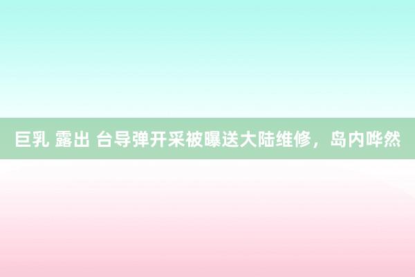 巨乳 露出 台导弹开采被曝送大陆维修，岛内哗然