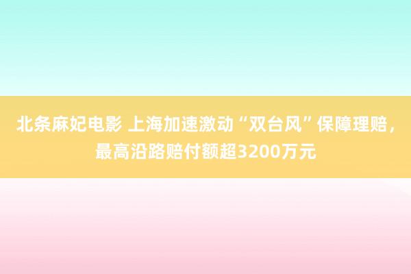 北条麻妃电影 上海加速激动“双台风”保障理赔，最高沿路赔付额超3200万元