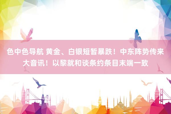 色中色导航 黄金、白银短暂暴跌！中东阵势传来大音讯！以黎就和谈条约条目末端一致