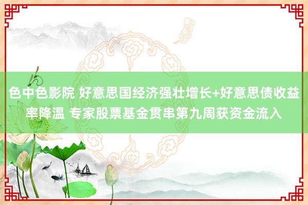 色中色影院 好意思国经济强壮增长+好意思债收益率降温 专家股票基金贯串第九周获资金流入