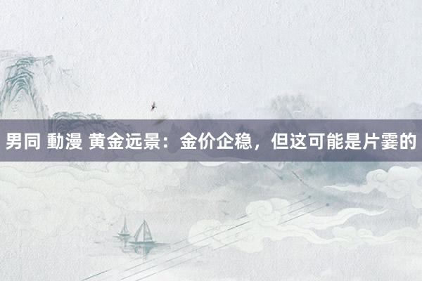 男同 動漫 黄金远景：金价企稳，但这可能是片霎的