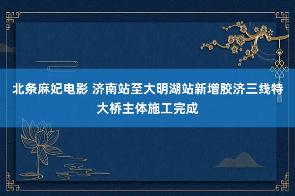 北条麻妃电影 济南站至大明湖站新增胶济三线特大桥主体施工完成