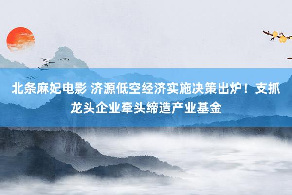 北条麻妃电影 济源低空经济实施决策出炉！支抓龙头企业牵头缔造产业基金