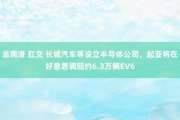 翁雨澄 肛交 长城汽车等设立半导体公司，起亚将在好意思调回约6.3万辆EV6