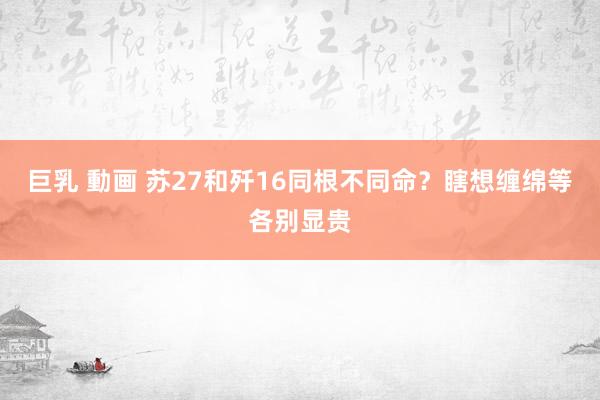 巨乳 動画 苏27和歼16同根不同命？瞎想缠绵等各别显贵