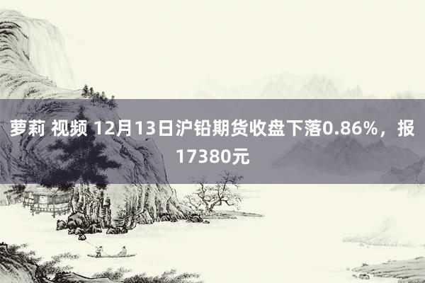 萝莉 视频 12月13日沪铅期货收盘下落0.86%，报17380元