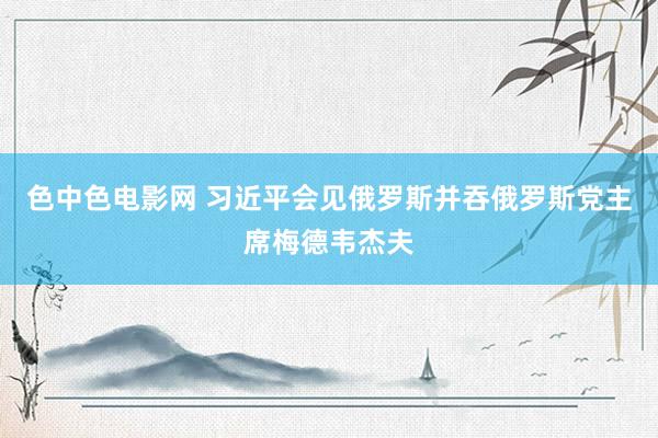 色中色电影网 习近平会见俄罗斯并吞俄罗斯党主席梅德韦杰夫
