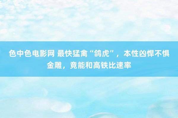 色中色电影网 最快猛禽“鸽虎”，本性凶悍不惧金雕，竟能和高铁比速率