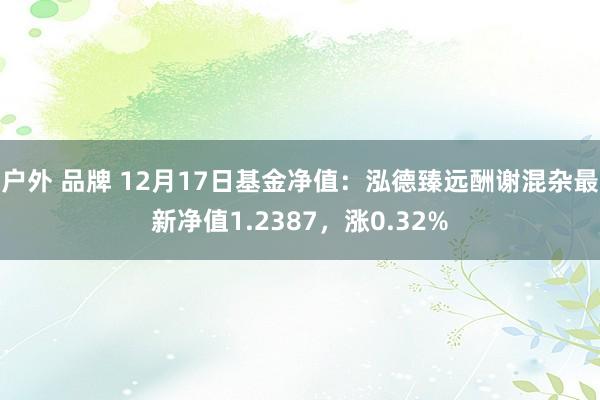 户外 品牌 12月17日基金净值：泓德臻远酬谢混杂最新净值1.2387，涨0.32%