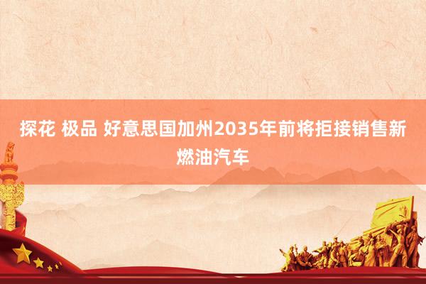 探花 极品 好意思国加州2035年前将拒接销售新燃油汽车