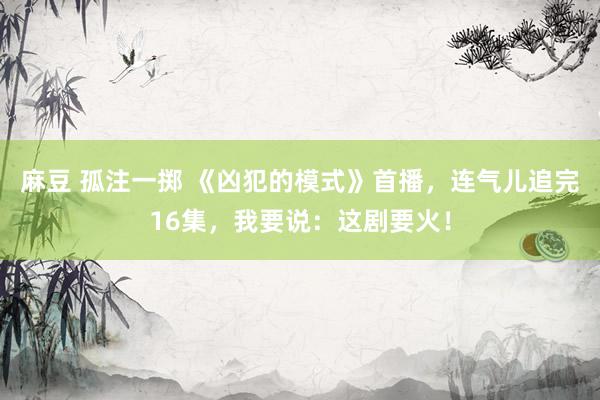 麻豆 孤注一掷 《凶犯的模式》首播，连气儿追完16集，我要说：这剧要火！