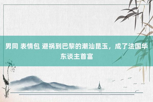 男同 表情包 避祸到巴黎的潮汕昆玉，成了法国华东谈主首富