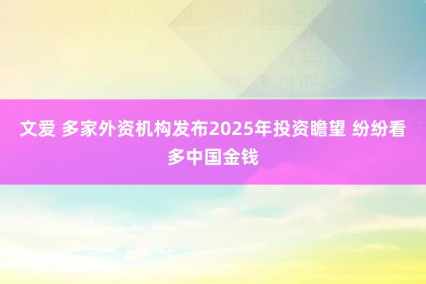 文爱 多家外资机构发布2025年投资瞻望 纷纷看多中国金钱