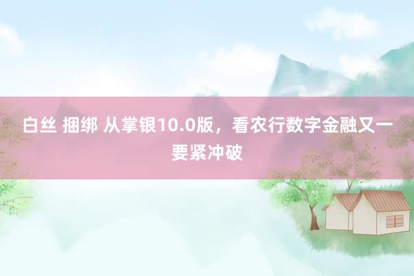 白丝 捆绑 从掌银10.0版，看农行数字金融又一要紧冲破