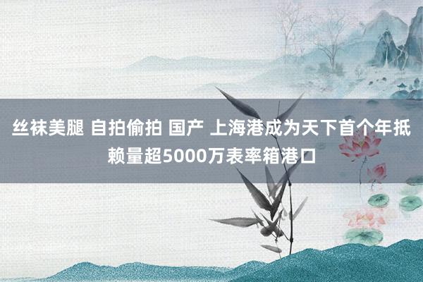 丝袜美腿 自拍偷拍 国产 上海港成为天下首个年抵赖量超5000万表率箱港口