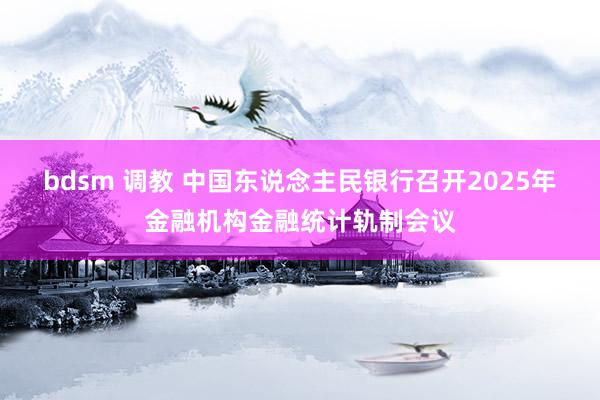 bdsm 调教 中国东说念主民银行召开2025年金融机构金融统计轨制会议