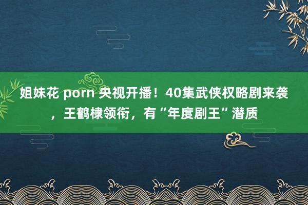 姐妹花 porn 央视开播！40集武侠权略剧来袭，王鹤棣领衔，有“年度剧王”潜质