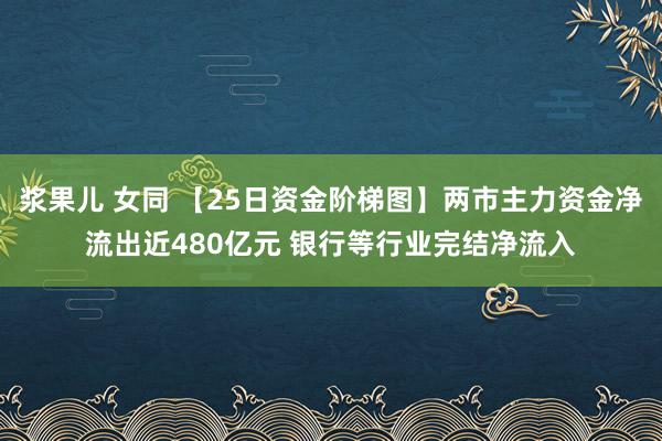 浆果儿 女同 【25日资金阶梯图】两市主力资金净流出近480亿元 银行等行业完结净流入