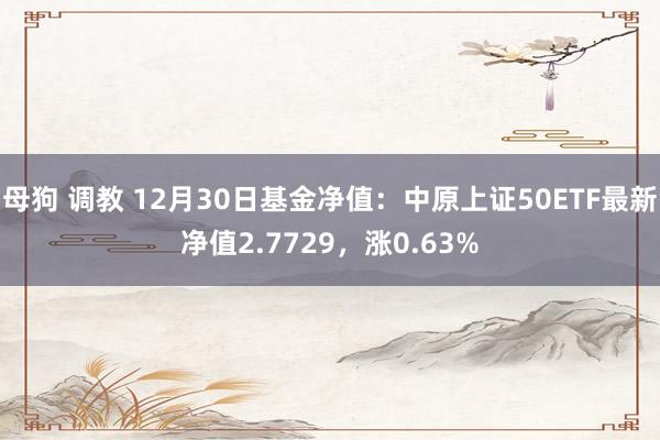 母狗 调教 12月30日基金净值：中原上证50ETF最新净值2.7729，涨0.63%
