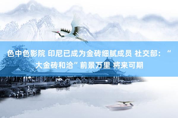 色中色影院 印尼已成为金砖细腻成员 社交部：“大金砖和洽”前景万里 将来可期