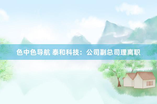 色中色导航 泰和科技：公司副总司理离职