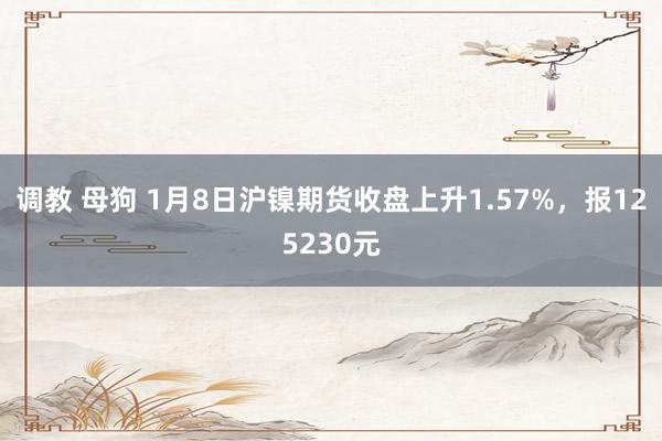 调教 母狗 1月8日沪镍期货收盘上升1.57%，报125230元