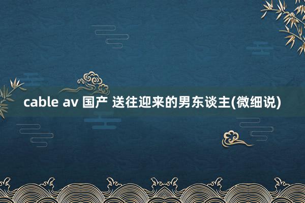 cable av 国产 送往迎来的男东谈主(微细说)