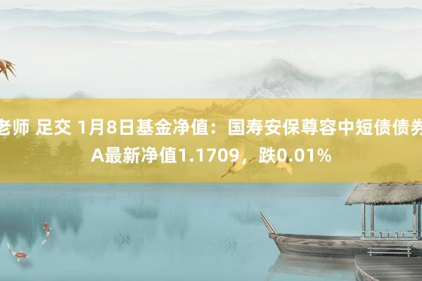 老师 足交 1月8日基金净值：国寿安保尊容中短债债券A最新净值1.1709，跌0.01%