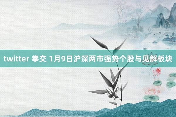 twitter 拳交 1月9日沪深两市强势个股与见解板块