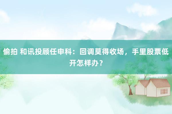 偷拍 和讯投顾任申科：回调莫得收场，手里股票低开怎样办？