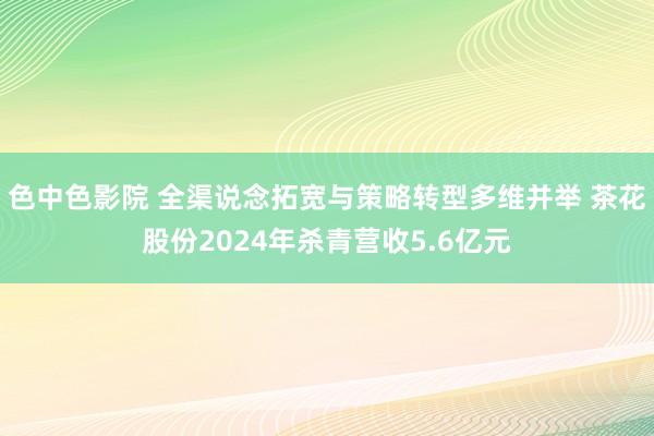 色中色影院 全渠说念拓宽与策略转型多维并举 茶花股份2024年杀青营收5.6亿元