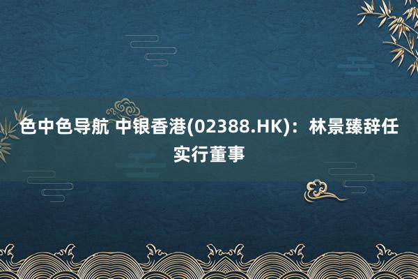 色中色导航 中银香港(02388.HK):林景臻辞任实行董事
