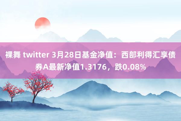 裸舞 twitter 3月28日基金净值：西部利得汇享债券A最新净值1.3176，跌0.08%
