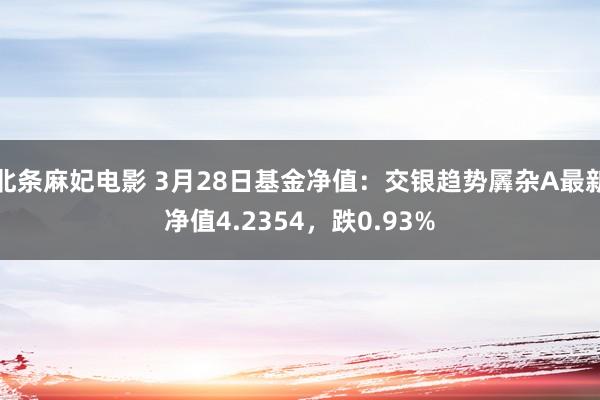 北条麻妃电影 3月28日基金净值：交银趋势羼杂A最新净值4.2354，跌0.93%