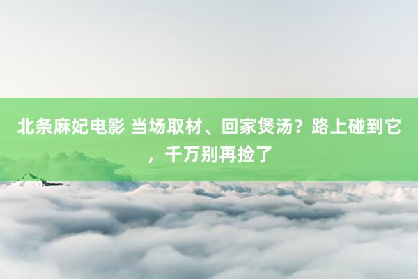 北条麻妃电影 当场取材、回家煲汤？路上碰到它，千万别再捡了