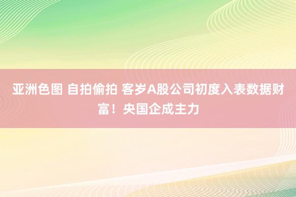 亚洲色图 自拍偷拍 客岁A股公司初度入表数据财富！央国企成主力