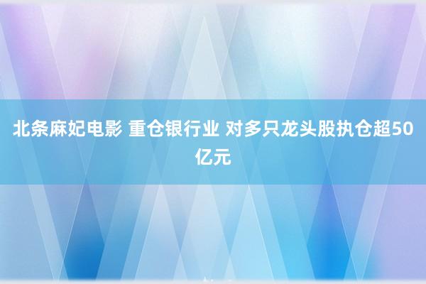 北条麻妃电影 重仓银行业 对多只龙头股执仓超50亿元